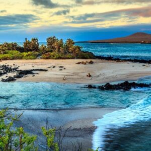 ISLA GALAPAGOS