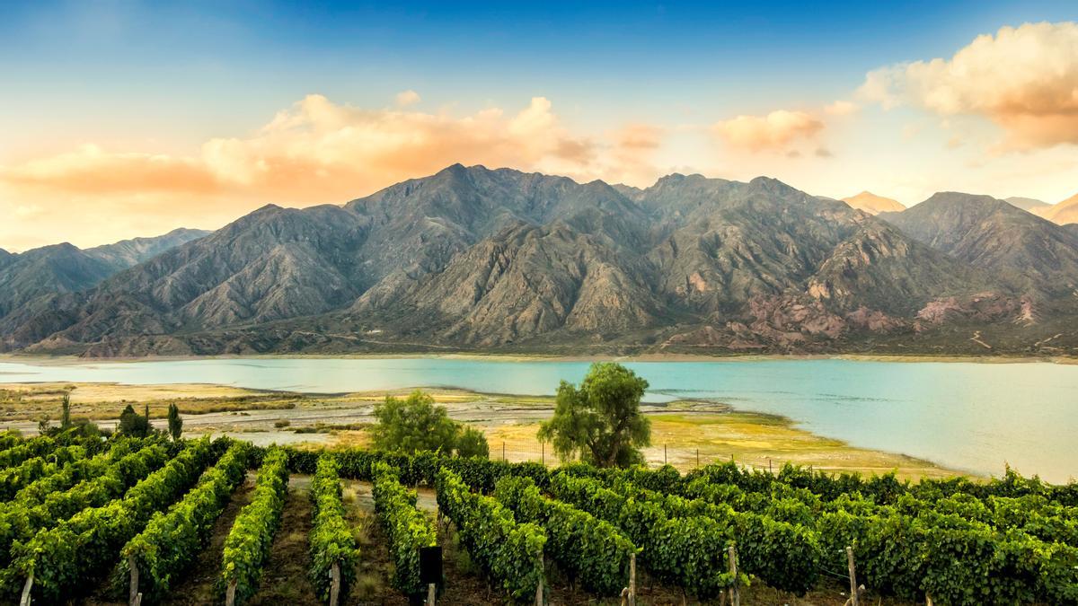 Cumbres y viñedos en Mendoza