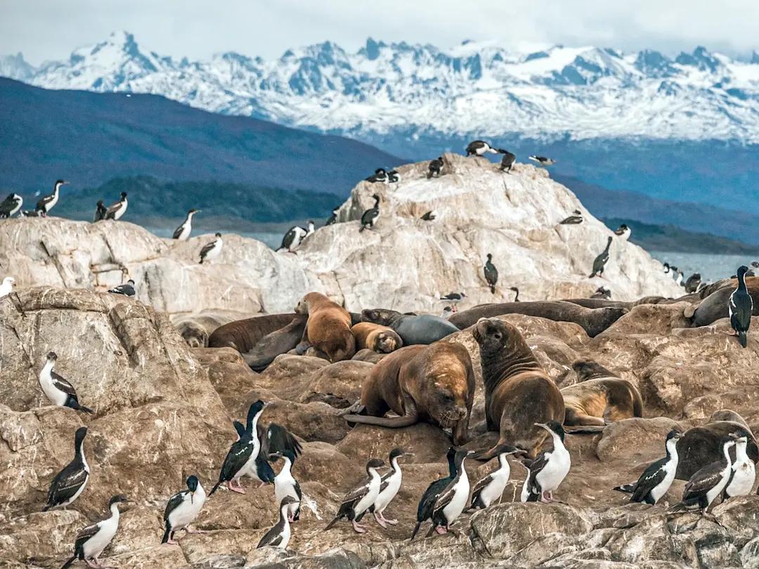 Ushuaia el Confín del Mundo - Image 6